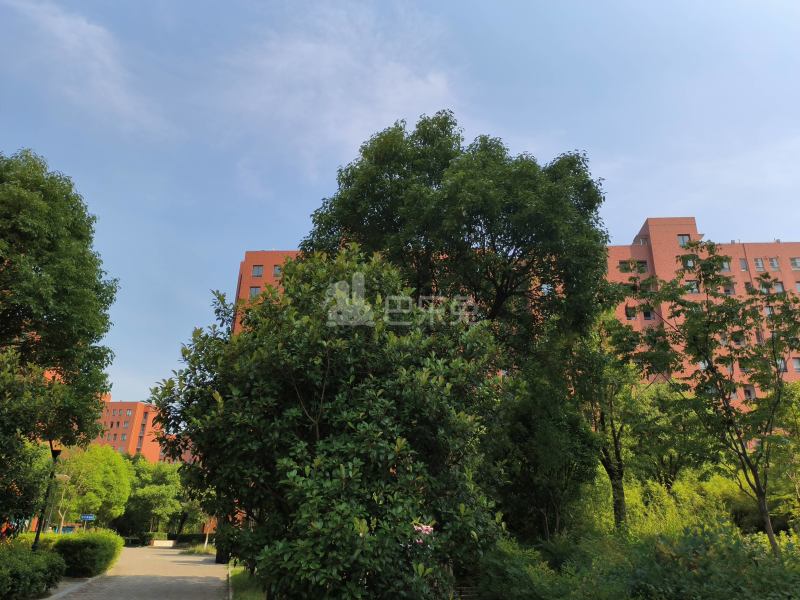 佘北家园榆叶苑9415168周边环境图9