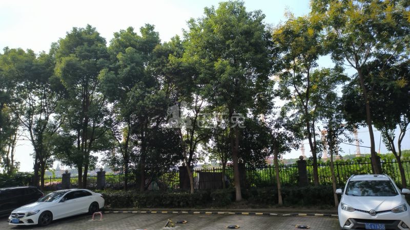 外冈佳苑东区9477623周边环境图7