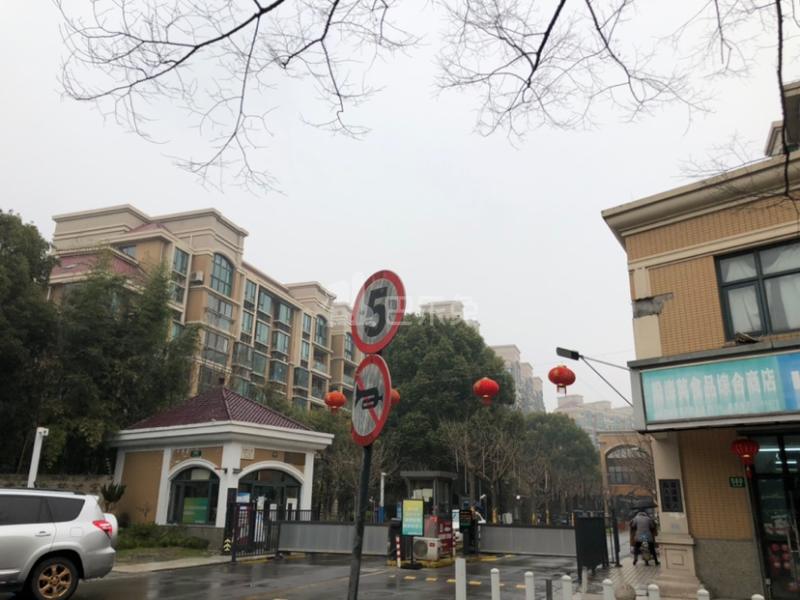 建德国际公寓1184698周边环境图13