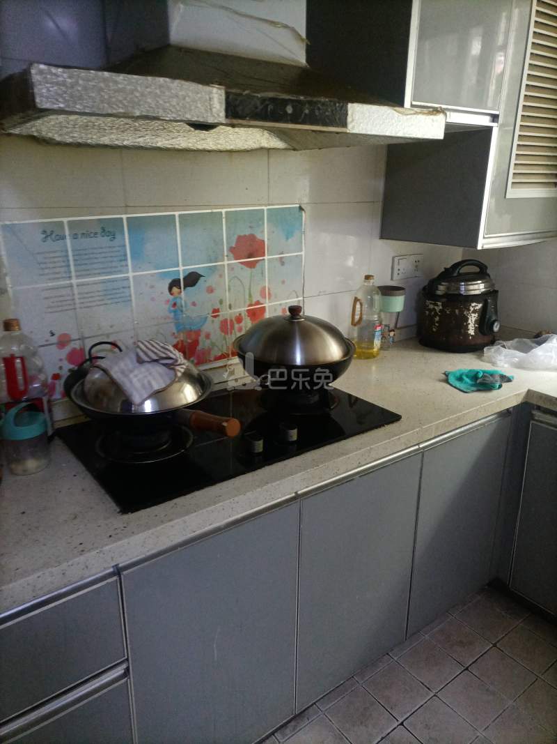 清洁家园9524051厨房图4