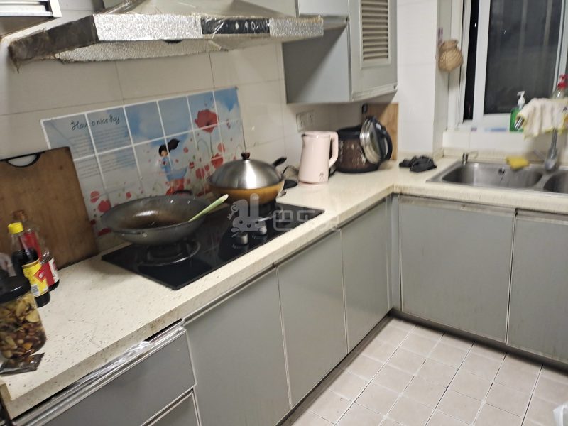 清洁家园9524051厨房图5