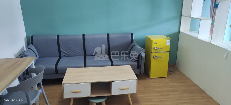 东八公寓西区9544974客厅图4