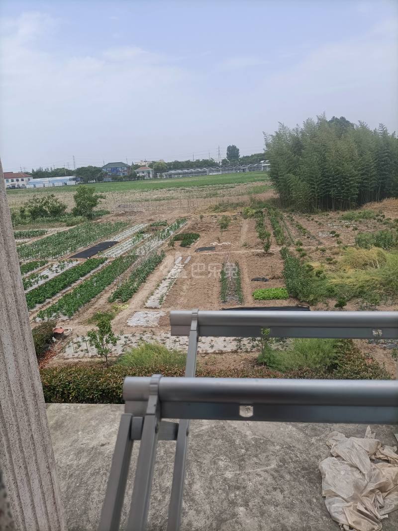 金建村长桥（民房）9547295周边环境图7