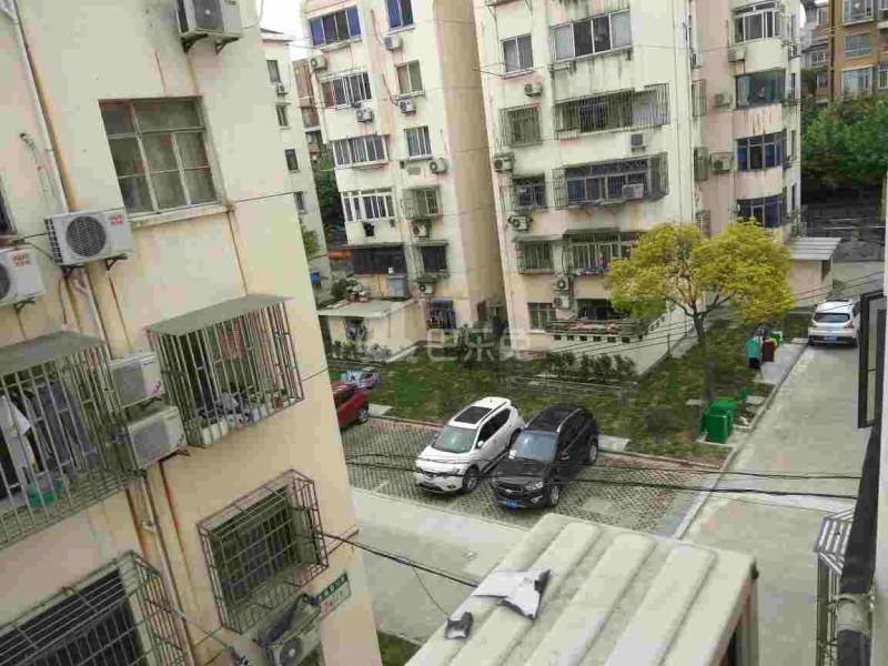 香楠小区（香楠路39弄）4669891周边环境图8