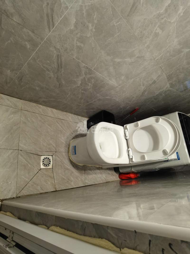 浦发东悦城8675566卫生间图7