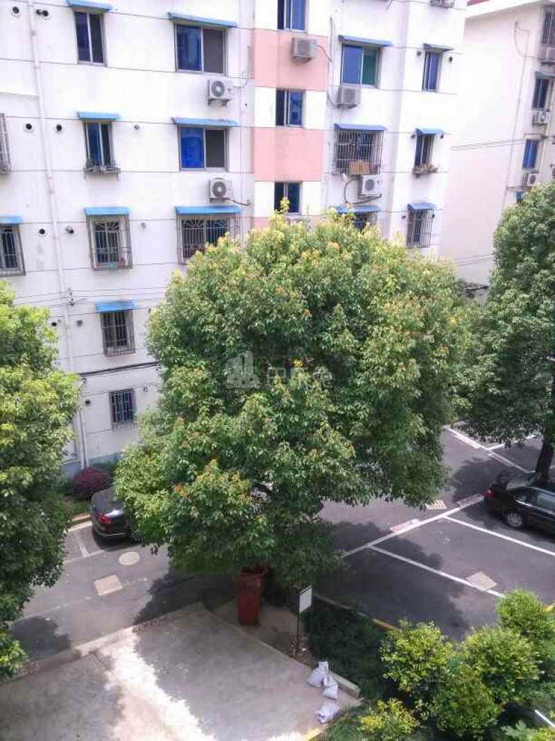 嘉宝小区7626827周边环境图9