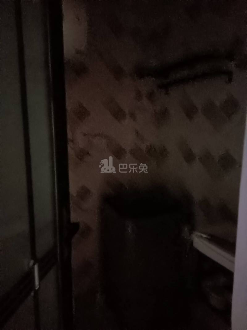 江镇大沟村东街25号（民房）9618664卫生间图4