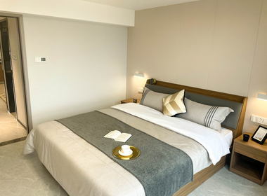 城家高级公寓深圳沙头角地铁站店 1室1厅1卫