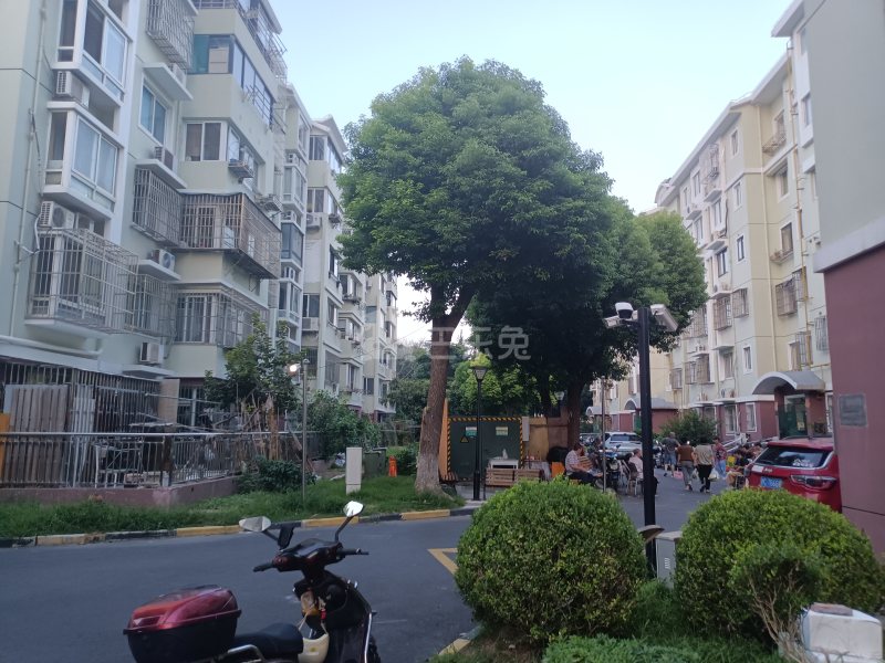 古桐二村9917639周边环境图8