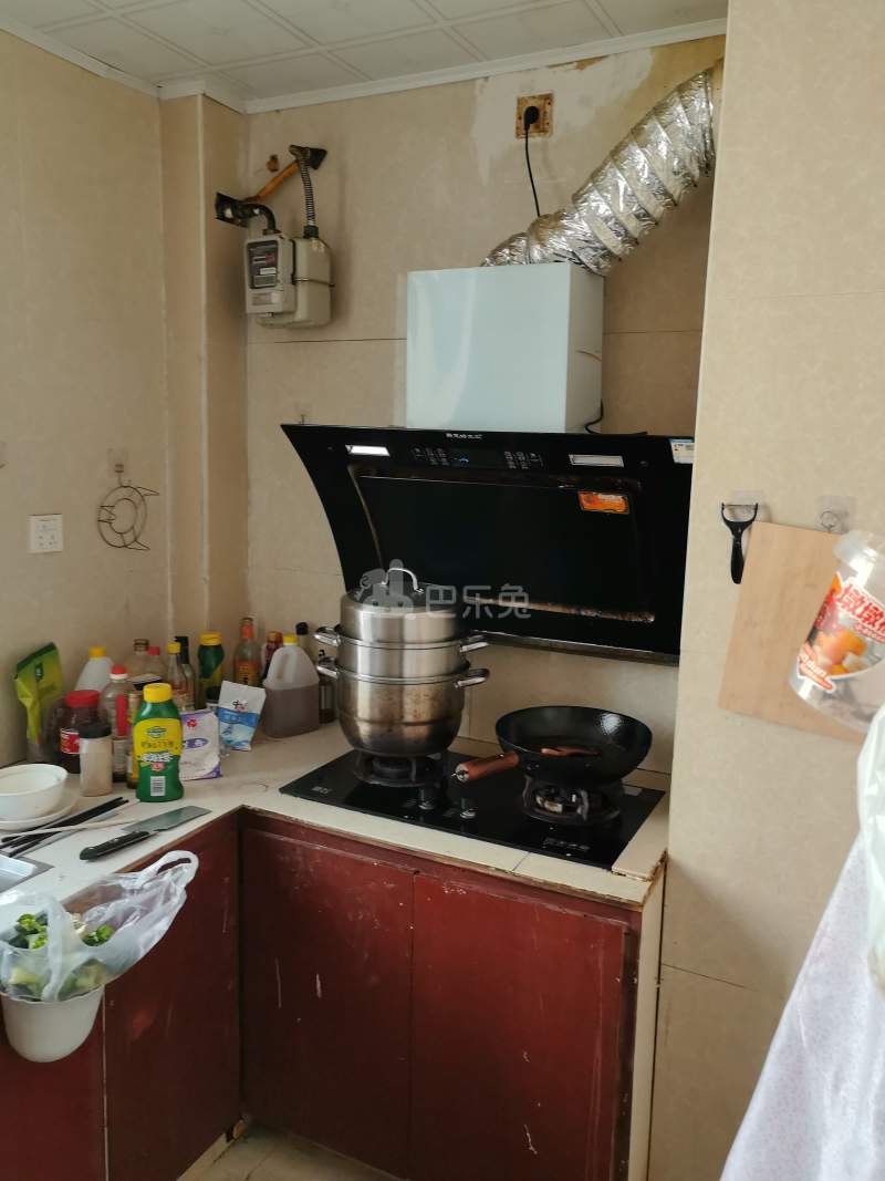 崧泽华城崧文苑（崧泽绿地C区）9666179厨房图6