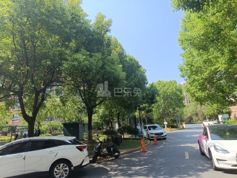 申城佳苑一期C块9712013周边环境图16