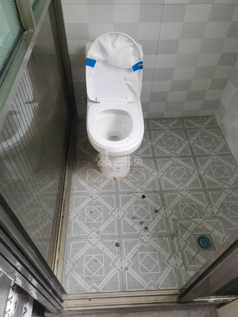 宣桥镇腰路村丰乐三组9735019卫生间图5