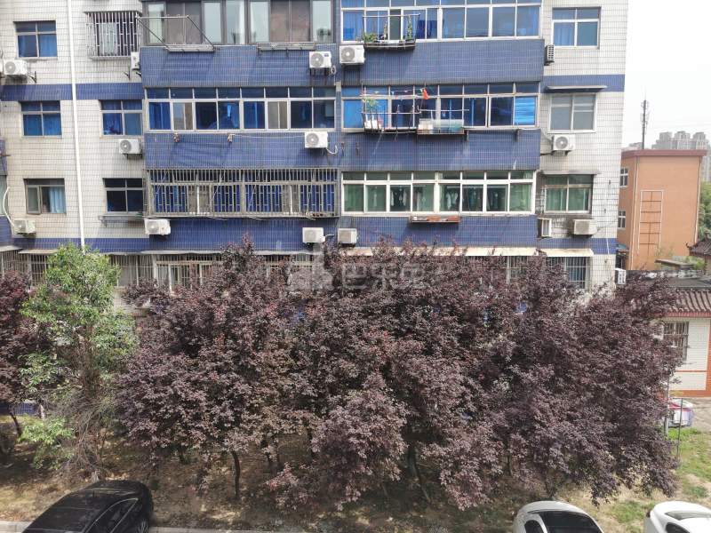 沈巷新村南区（月罗路307弄）9899531周边环境图20