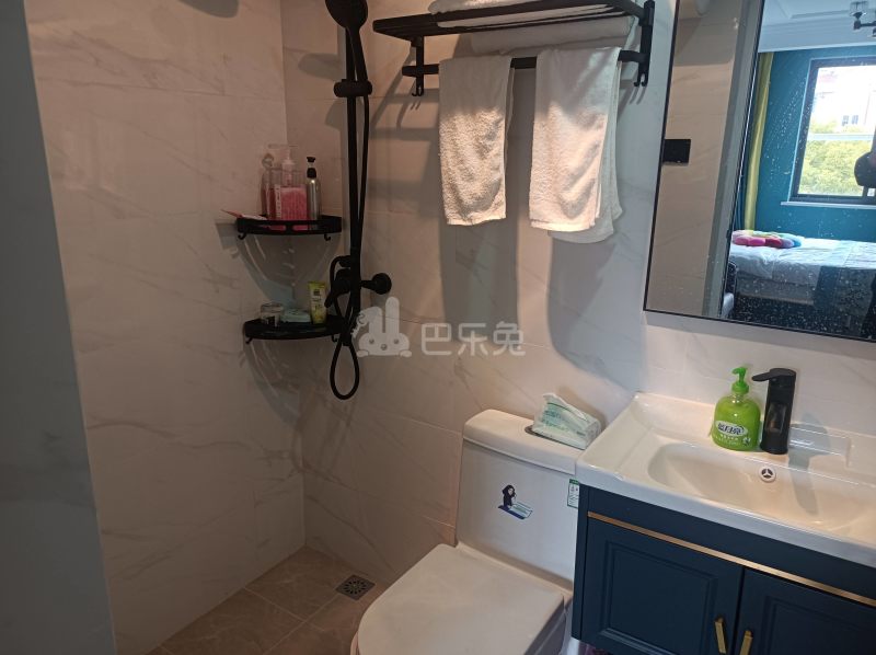 颛溪十村9924467卫生间图5