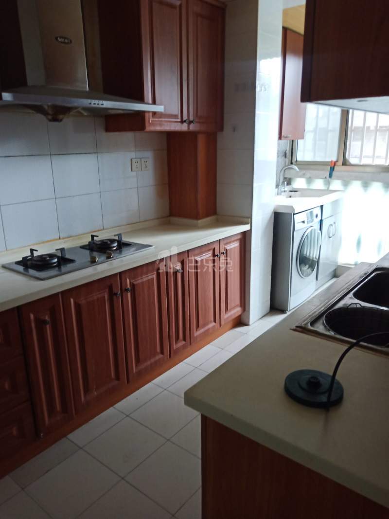 巴黎之春9957838厨房图8