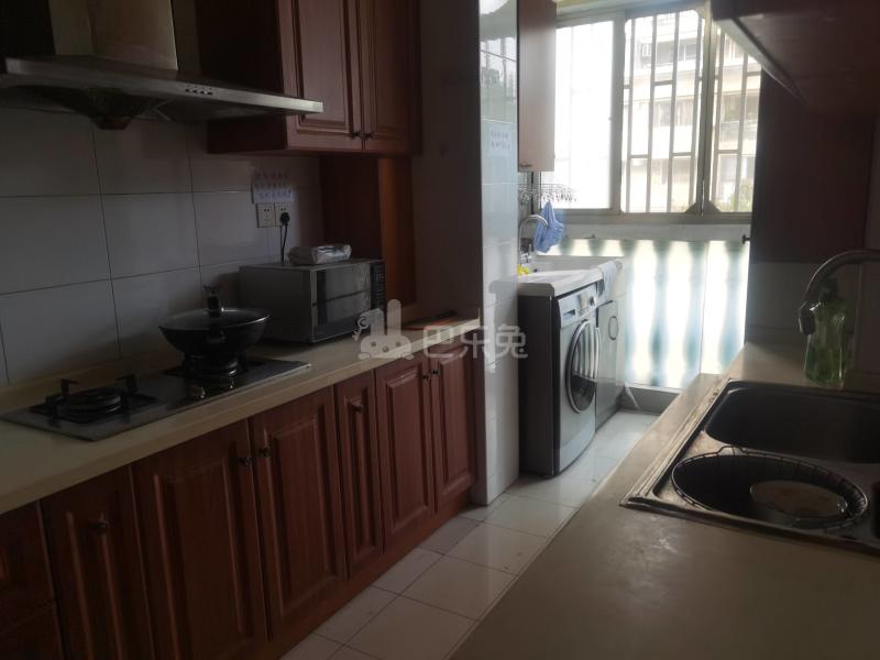 巴黎之春9957838厨房图7