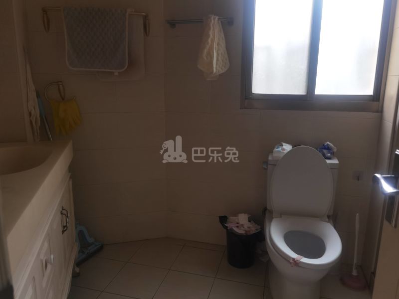 巴黎之春9957838卫生间图11