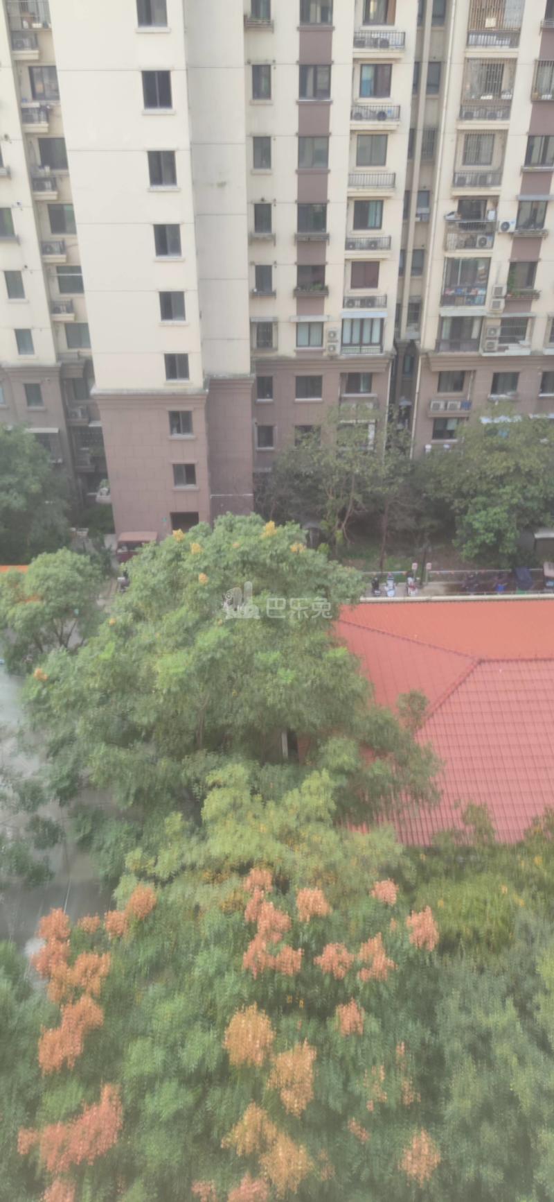 国伟新苑9966934周边环境图10