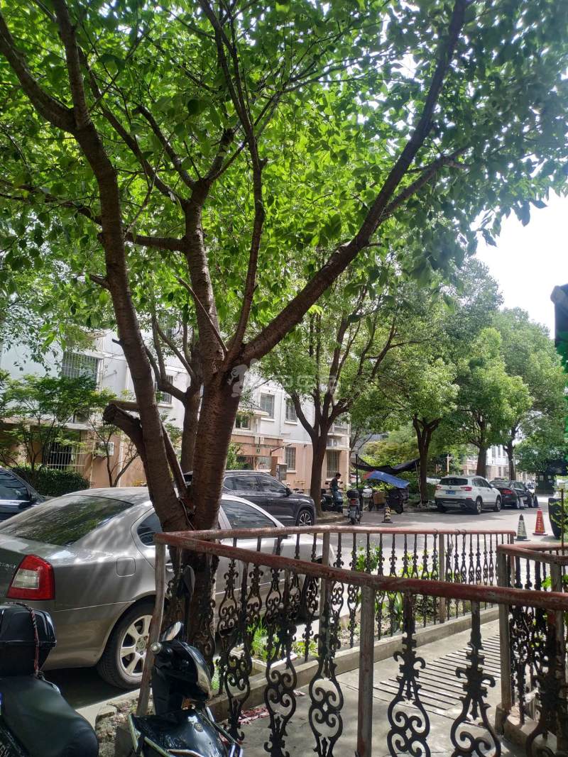 双秀家园北园9971575周边环境图6