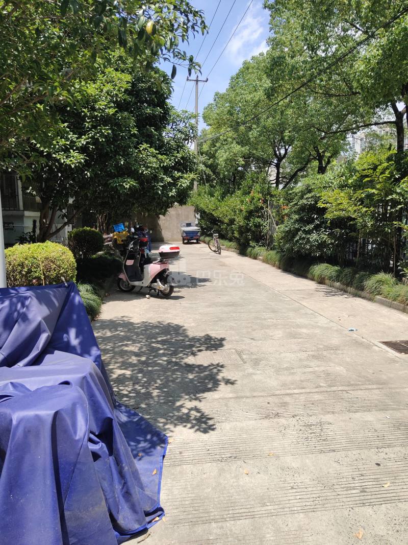 高潮新苑9990384周边环境图1