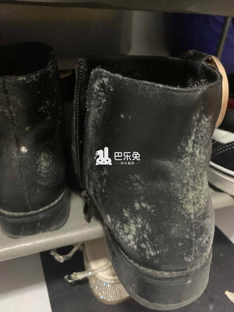 17日                              设施环境 : 特别*,鞋子衣物发霉