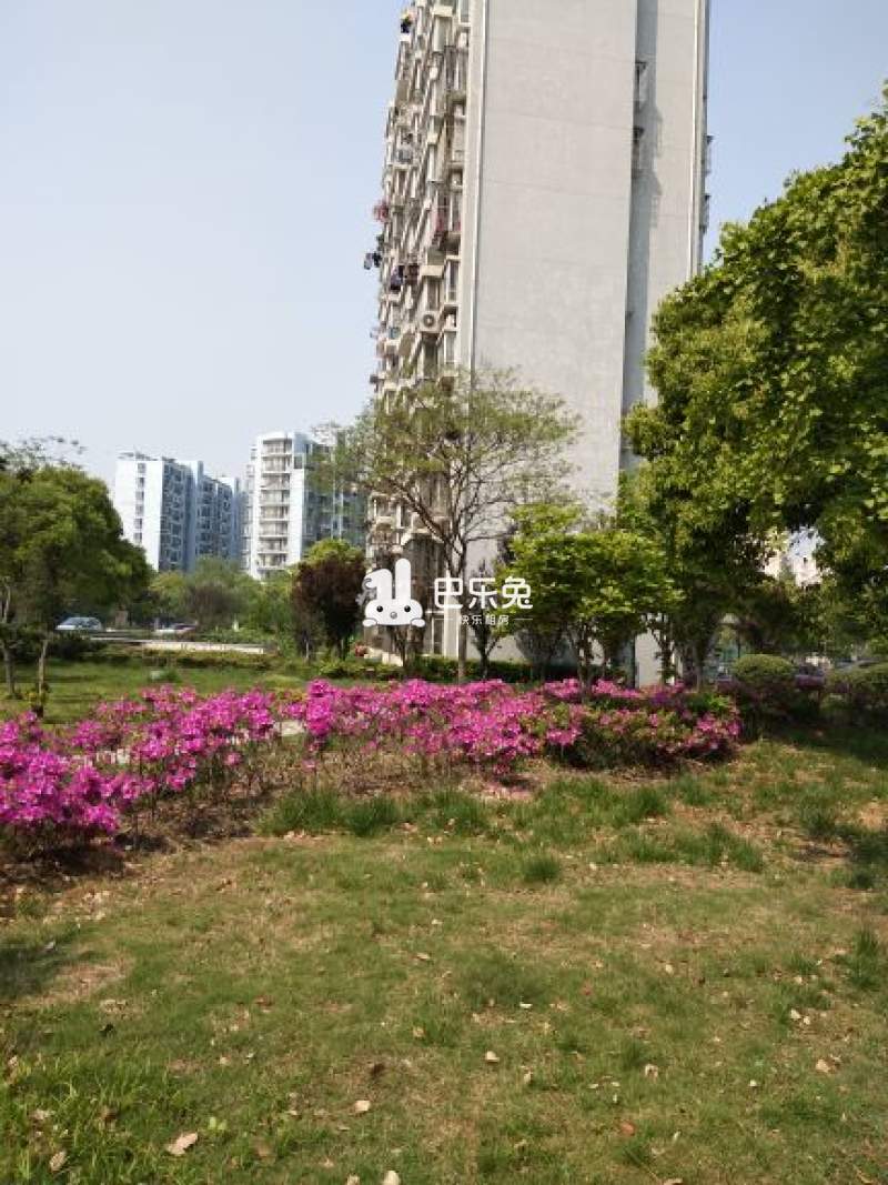 金东名苑西区,东城名苑(第17页)_大山谷图库