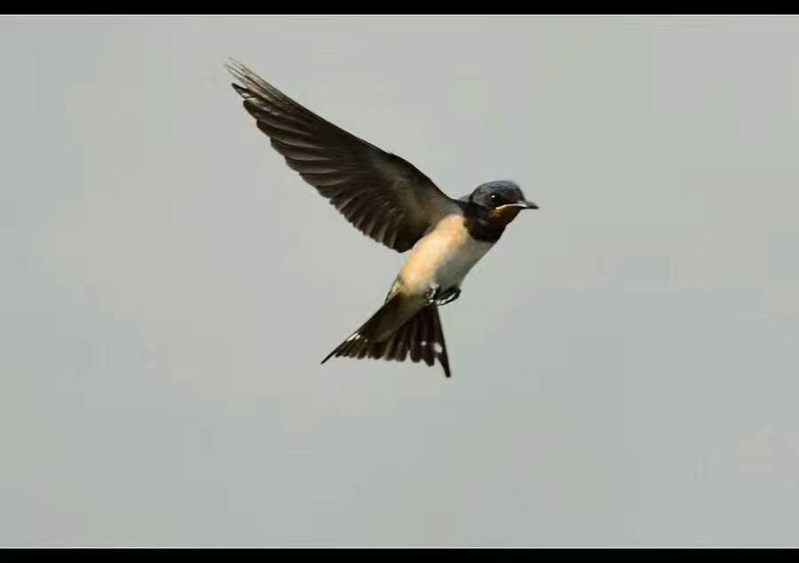 深圳福田_泰然广场_1室0厅0卫_合租朝南_滨河大道9309号-深圳巴乐兔