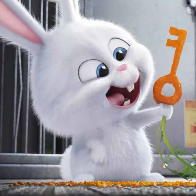 森安苑_1室0厅0卫_合租朝东南_普乐路665弄1～56号-上海巴乐兔租房