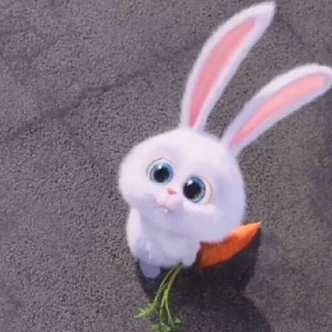 巴乐兔-上海租房_上海租房网_上海巴乐兔_上海房屋出租信息|价格