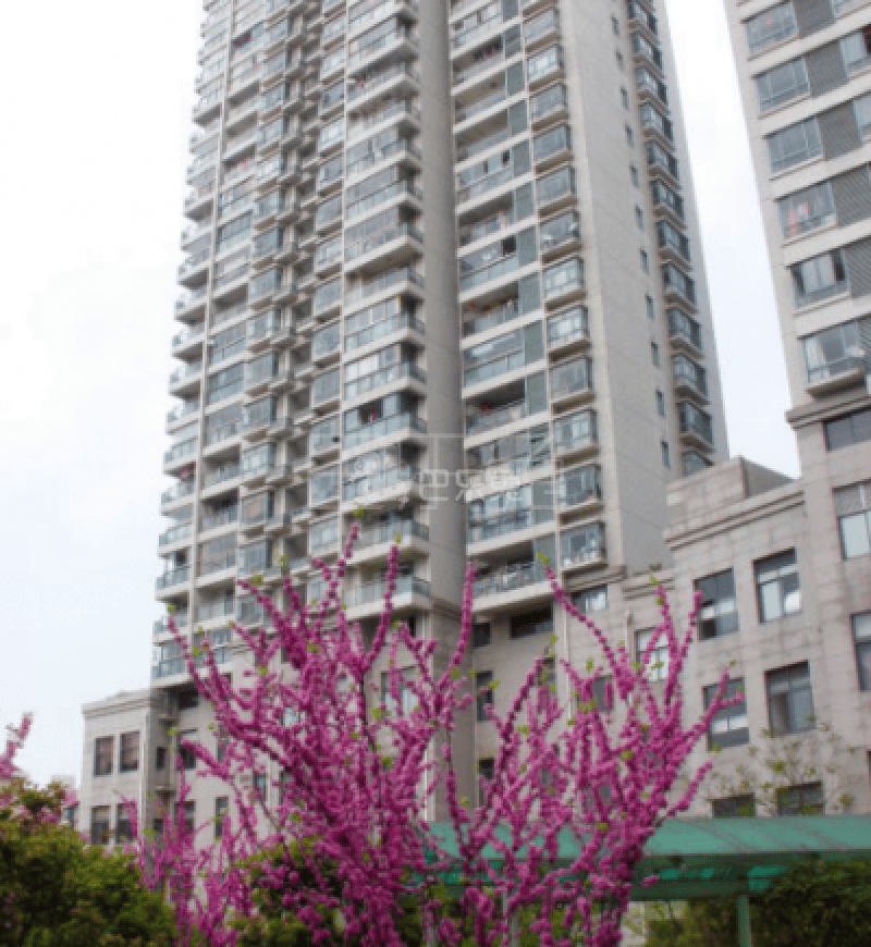 凯润金城6365642周边环境图8