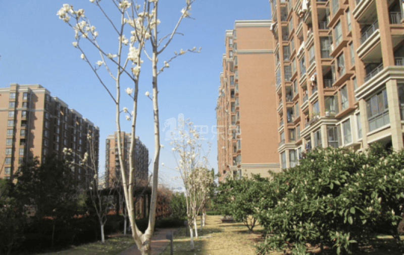 万博家园11223132周边环境图9