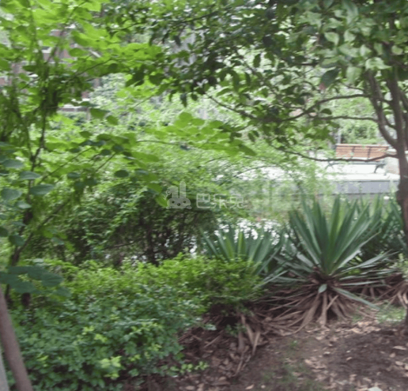 吴中路405弄小区6688736周边环境图15