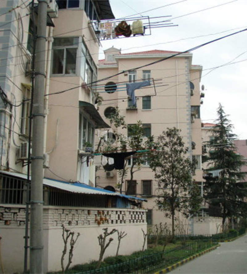 塘桥二村14006879周边环境图0