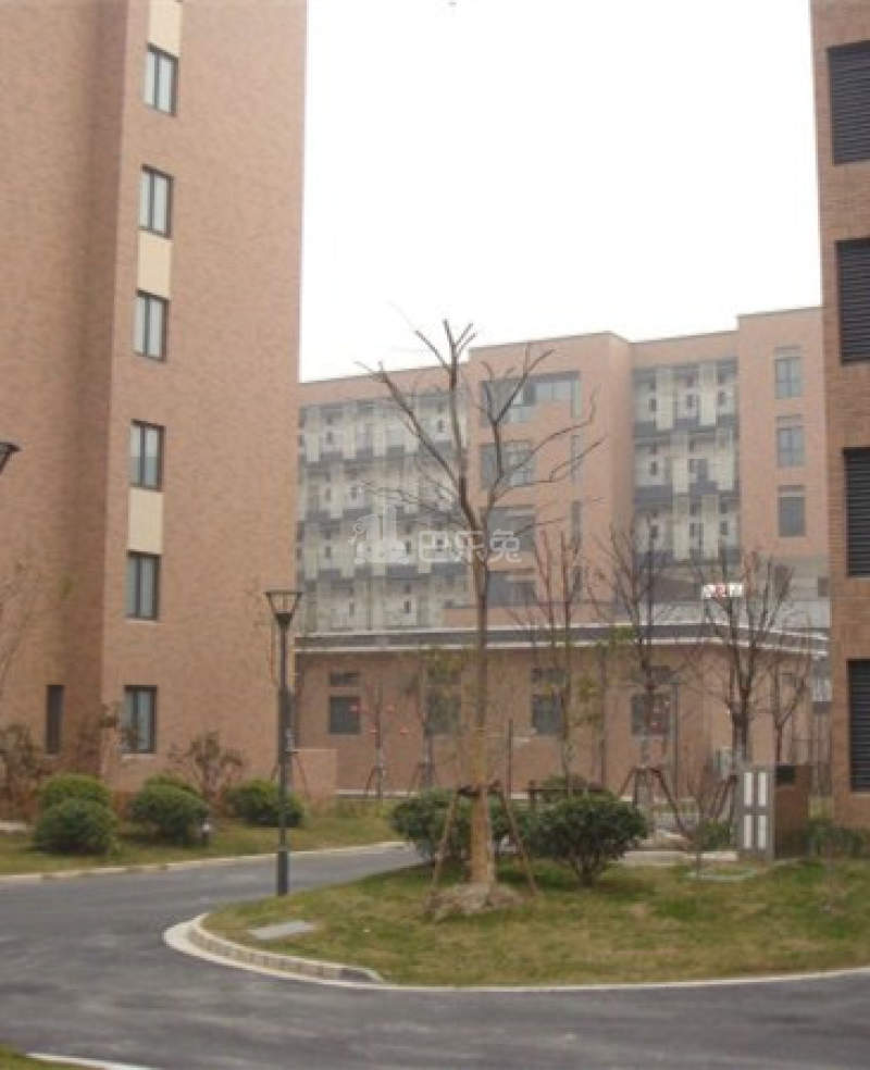 滴水湖馨苑南区6537609周边环境图11