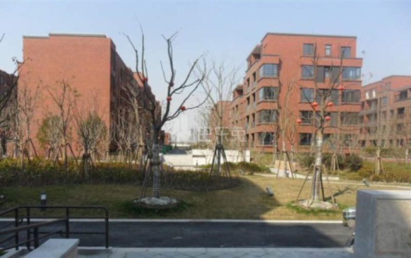 滴水湖馨苑南区6537609周边环境图8