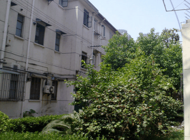 曹杨五村杏梅园