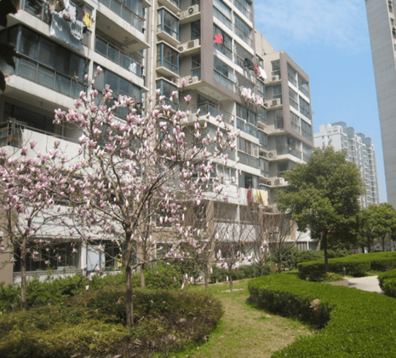 天翔小区（中原路10弄）9663228周边环境图8