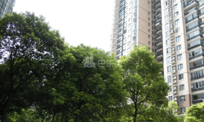 百花公寓（斜土东路158弄）18455886周边环境图12