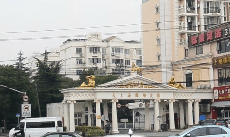 大上海国际花园雅典园13881413周边环境图9