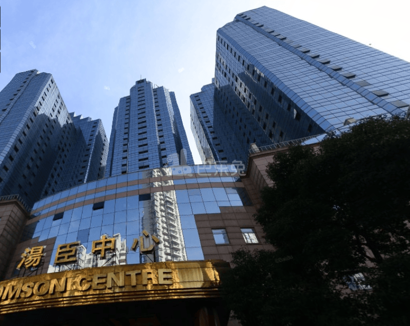 汤臣商务中心大厦