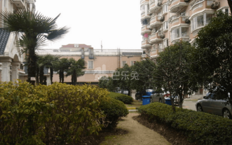 阳明国际花苑西区（水清路588弄）8981444周边环境图13