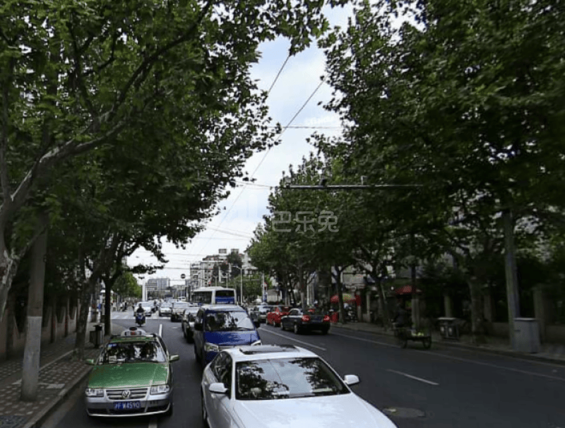 江浦路2009弄小区11453022周边环境图4