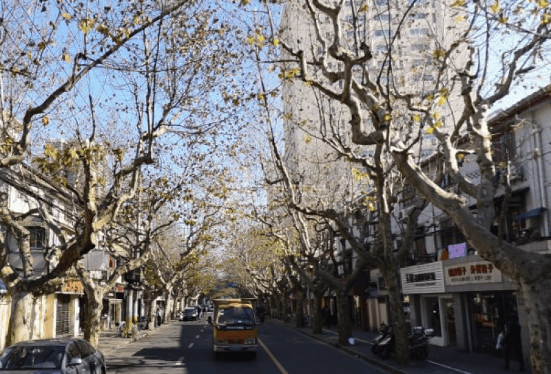 桃源邨（永康路142弄）9263832周边环境图7