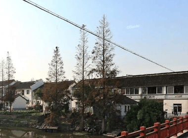 大裕村（民房） 