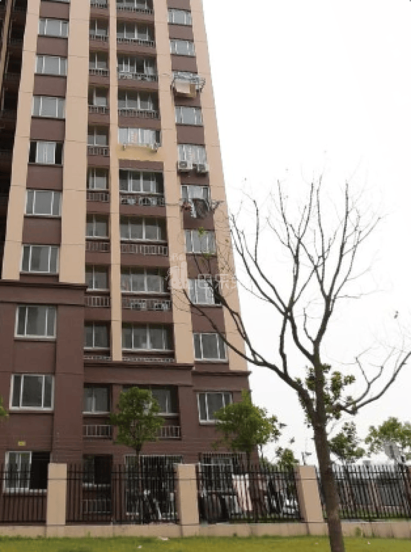 东旭雅苑西区821843周边环境图11