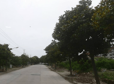 陈行一村 3室1厅3卫