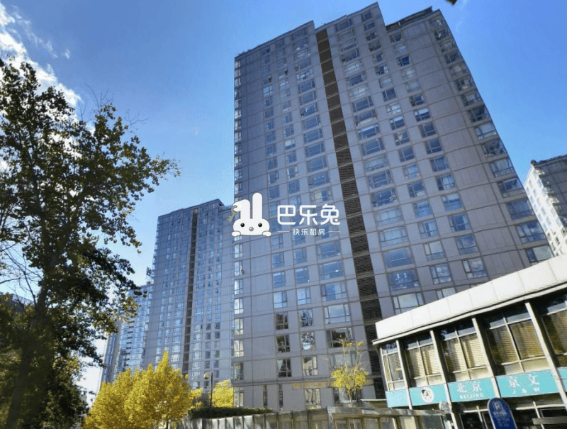 北京朝阳_远洋新干线_1室1厅1卫_整租_霄云路霞光里66号院-北京巴乐兔