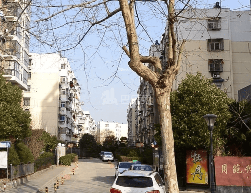 月苑综合楼12319183周边环境图0