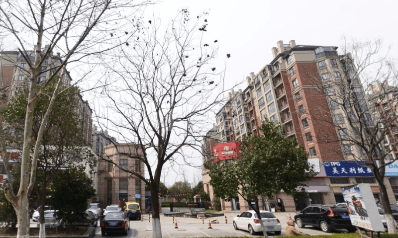 美达·上河明苑11749936周边环境图6