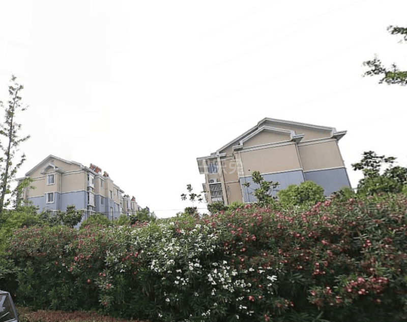 公园新村15695578周边环境图11